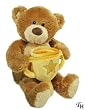 Gund Congratulations Message Bear