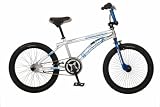 Schwinn TJ Lavin 20-Inch Freestyle Bike