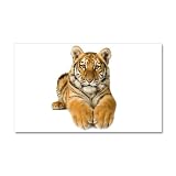 38.5 x24.5 Wall Vinyl Sticker Bengal Tiger Youth