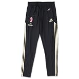 AC Milan 10/11 Training Pants