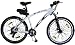 EG Enterprise Electric Bicycle: Aluminun Frame with Light Li-ion Battery