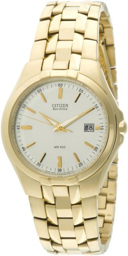 Citizen Mens BM6542-56P Eco-Drive Gold-Tone Watch