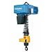 Demag 93202446 Manulift Electric Chain Hoist, 550 lbs Capacity, 9' Lift Height, 32/18 FPM Lift Speed, 575V