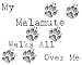 My Malamute Walks All Over Me Apron