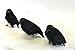 Black Feathered Small Halloween Crows - 3 Pc Black Birds