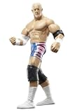 Review Jakks  / WWE Deluxe Aggression Series 18 HARDCORE HOLLY