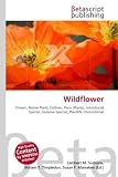 41xsxez6RjL. SL160  Wildflower: Flower, Native Plant, Cultivar, Flora , Introduced Species, Invasive Species, Plantlife International