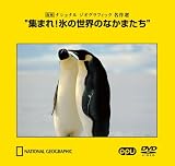 ���ޤ�!ɹ�������Τʤ��ޤ���~���� �ʥ���ʥ� ��������ե��å� ̾����~(PPV-DVD)