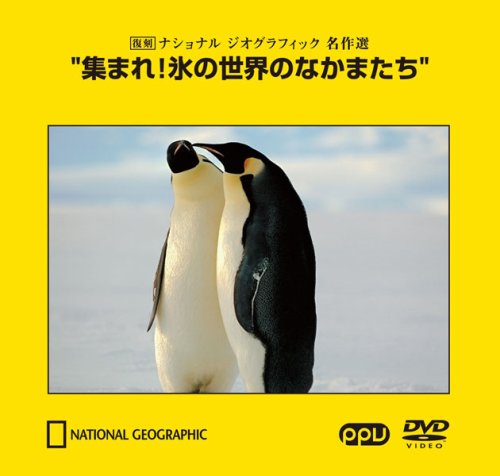 ���ޤ�!ɹ�������Τʤ��ޤ���~���� �ʥ���ʥ� ��������ե��å� ̾����~(PPV-DVD)