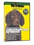 CHESAPEAKE BAY RETRIEVER DVD! + Dog & Puppy Training Bonus
