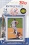 Topps MLB Baseball Cards 2009 New York Yankees 14 Card Team Set Includes Mickey Mantle Card!