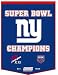 NFL New York Giants Embroidered Football Champions Dynasty Wool Banner
