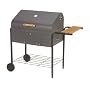 Char Broil Judge Charcoal Grill