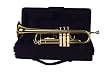 Palatino B-Flat Trumpet with featherweight case