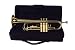 Palatino B-Flat Trumpet with featherweight case