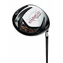 Tour Driver