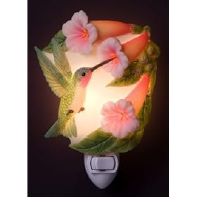 Hummingbird and Trumpet Vine Night Light Ibis and Orchid Flowers of Light