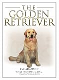 The golden retriever