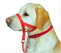 Coastal Pet Products C Nyl Halti Head Halter Red Size 3
