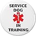 Service Dog IN TRAINING Medical Alert Symbol 2.25â€ Large Button Pin Disability