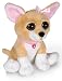 Plush Chihuahua Girl, Bright Eyes Chihuahua 10"