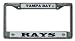 Tampa Bay Devil Rays Chrome Frame