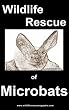 Wildlife Rescue of the Microbat