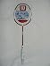 Sporting Goods : WILSON BADMINTON NZONE SURGE