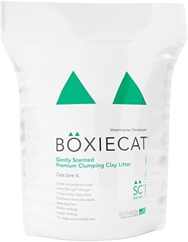 Boxiecat Gently Scented Premium Clumping Clay Cat Litter, 16 lb by Boxiecat