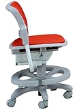 Ergokids (エルゴキッズ) 子供用 メッシュチェア 【プレミアム】 レッド  premium red