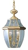 Quoizel NY1178B Newbury 2-Light Outdoor Hanging Lantern, Polished Brass by Quoizel [並行輸入品]