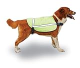 UPC 857646003199 product image for Fusion Pets Hi-Vis Safety Vest-L | upcitemdb.com