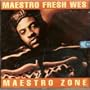 Maestro Zone