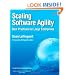 Scaling Software Agility: Best Practices for Large Enterprises