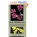 Utah Wildflowers: A Field Guide To Northern And Central Mountains And Valleys