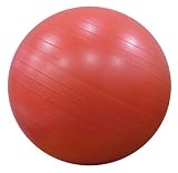 �����ꥢ�� ���̥Υ�С����ȥܡ��� 45cm �ԥ�