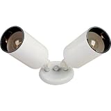 2 Light Flush Mount - White