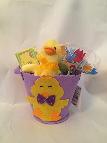 Duck Themed Easter Basket Bundle (5 Piece)