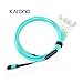 Karono MPO/MTP Breakout Cable, MPO/MTP to 8 x LC (4 Duplex), 40GbE QSFP 40GBase-SR4, OM3 Fanout Fiber Optic Cable - Aqua, 3M(10ft)