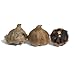 Black Garlic, 3 Pack