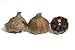 Frieda's Black Garlic/3 bags $15.99
