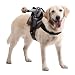 Headless Horseman Pet Costume