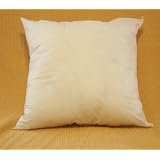 26x26 Euro Pillow Form Insert