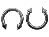 Spiked Silver Horseshoe Earrings (10 Gauge) - Fashion Ear Plugs