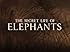 Secret life of Elephants - Season 1