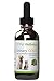 Pet Wellbeing - Urinary Gold for Cats - Natural Support for Cat Urinary Tract Health -- 2oz(59ml)
