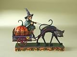 Enesco Jim Shore 4010487 Wicked Ride