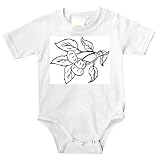 Onesie with black and white, plum, cherry, leaves, California, vegetation, flora, fruit, berries