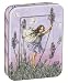 Insect Friends 12 Cards Cicely Mary Barker Flower Faery