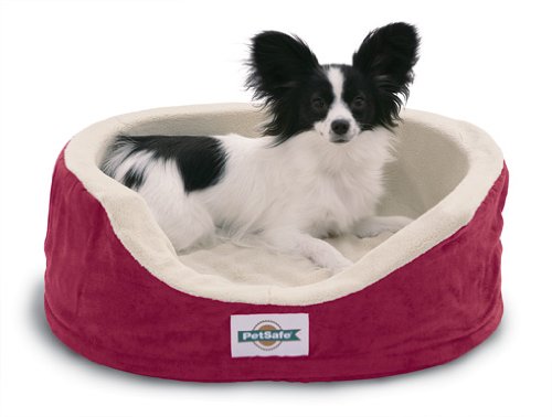 PetSafe Heated Wellness Sleeper, Mini